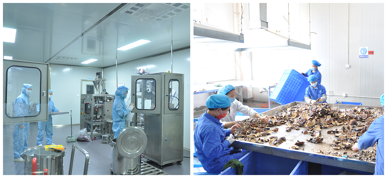 四川省一片葉藥業有限公司（匯濟康）(圖3)